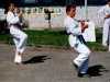 Exhibice Motol 2003