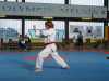 VI. International Technical Hansoo Cup 2006